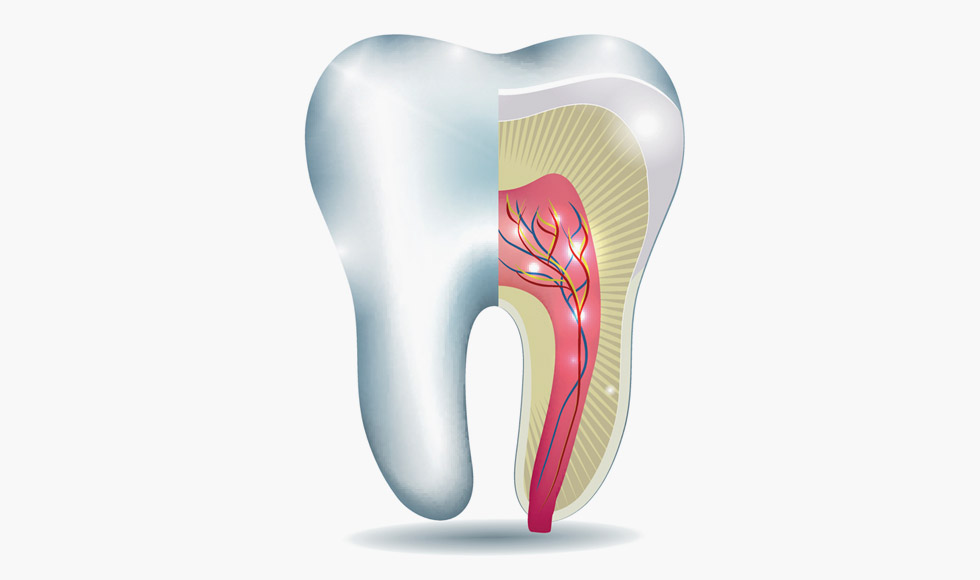 root-canal-treatment-img